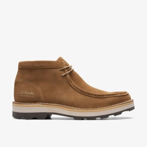 Clarks Corston Wally Waterproof Dark Sand Warmlined Erkek Bot Koyu Kahverengi | 41652LFAI