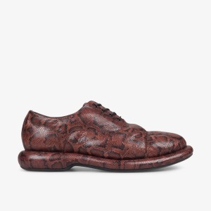 Clarks Martine Rose Mens Oxford 1 Brown Snake Erkek Elbise Ayakkabısı Kahverengi Yılan | 72409YRHA